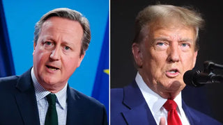 Cameron's Strategic Meeting with Trump Before Advocating for Increased US Support for Ukraine