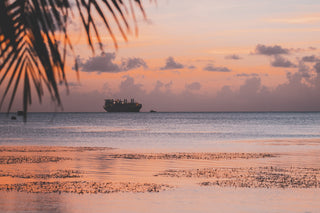 DHS Ends Visa-Free Travel for Chinese Visitors to the Northern Marianas Oct. 30, but Its Notice Names No Spy Case and Both Smuggling Cases Predate the Program