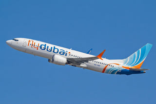 The Flydubai Jet Squawked "Hijack." The New York Times Called It an "Altercation." Dubai Now Calls It Terrorism.